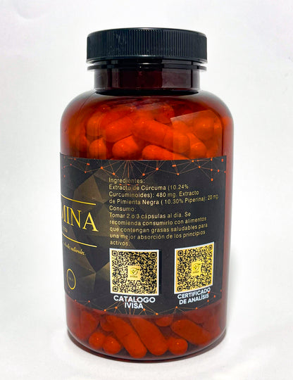 CURCUMINA (Curcumin Extract 10%) ( DETOX / HÍGADO )