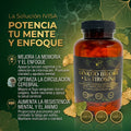 GINKGO BILOBA + L TIROSINA (CEREBRO / MEMORIA / ENFOQUE)