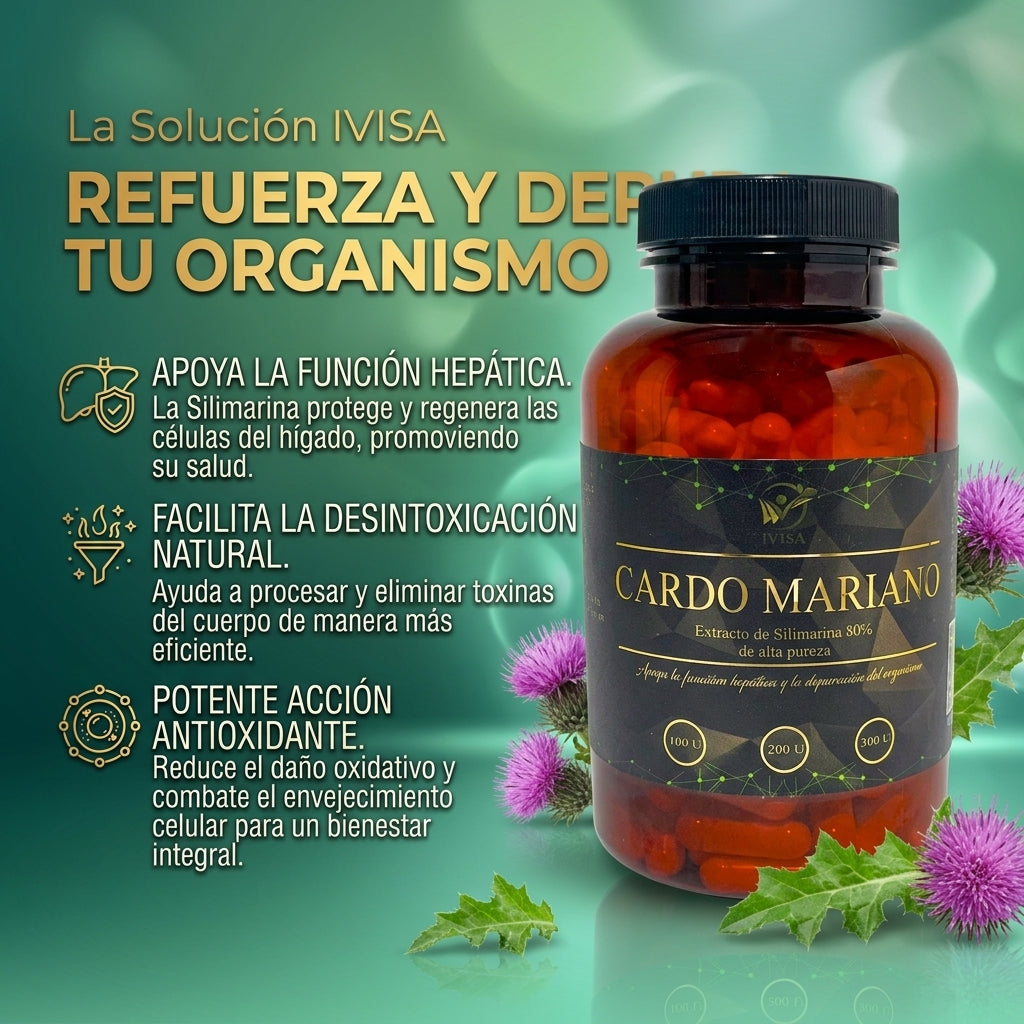 CARDO MARIANO EXTRACT. (DETOX / HÍGADO)