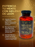 MELENA DE LEÓN + L - TEANINA + VITAMINA C (CEREBRO / MEMORIA / ENFOQUE)