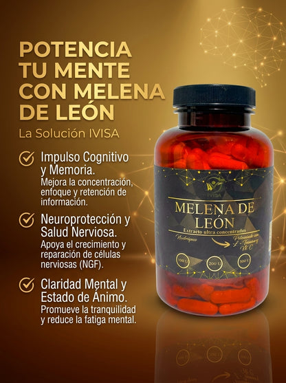 MELENA DE LEÓN + L - TEANINA + VITAMINA C (CEREBRO / MEMORIA / ENFOQUE)