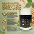 LECITINA DE SOYA (CIRCULACIÓN / CARDIOVASCULAR / OCULAR)